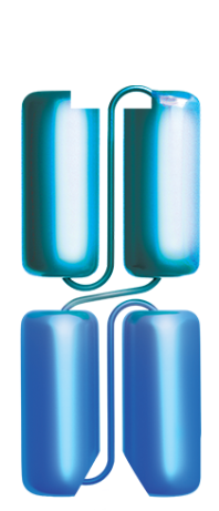 CD19