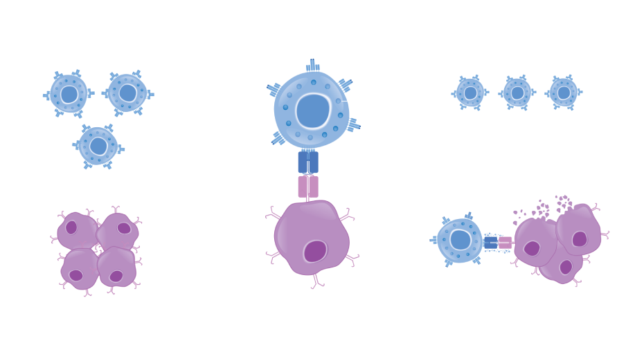 Illustration of the BiTE technology mechanism of action