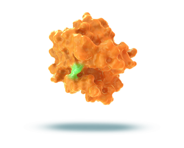 KRAS G12C mutation