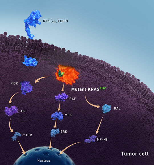 Illustration of mutant KRAS in a tumor cell