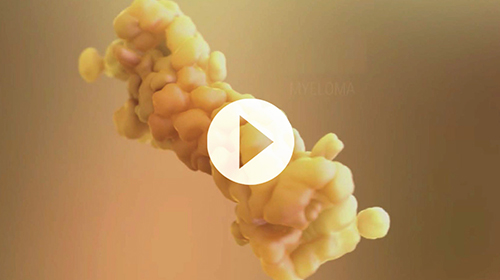 proteasome video