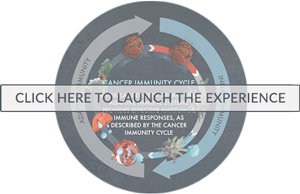 Click here to launch the Cancer Immunity Cycle learning module