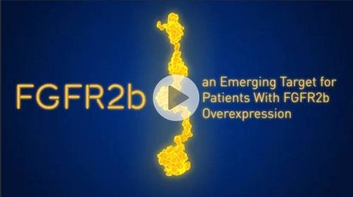 proteasome video