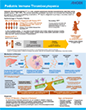 Pediatric Immune Thrombocytopenia (ITP)