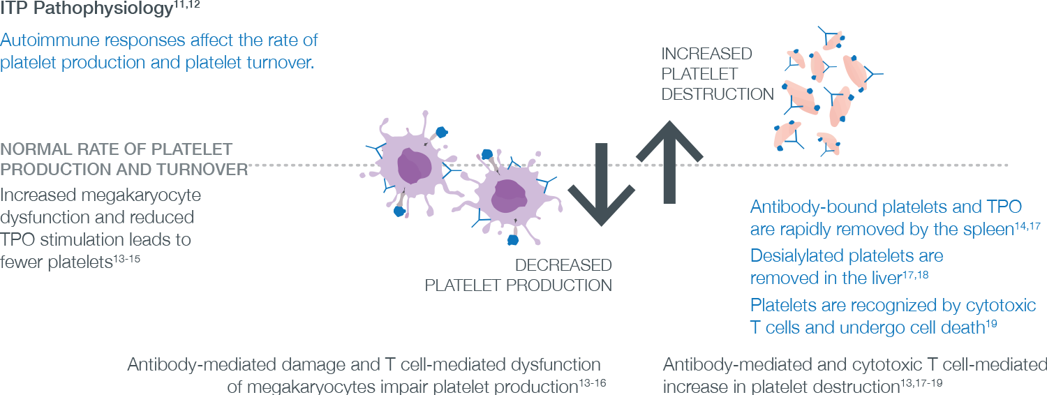 IPT pathophysiology