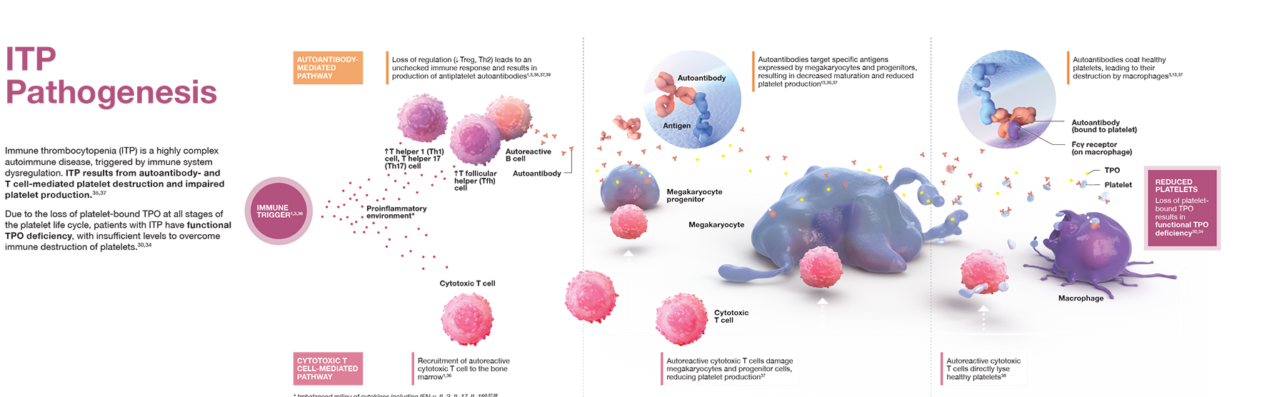 IPT pathogenesis