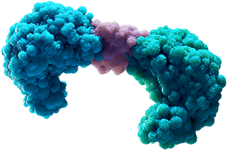 BiTE<sup>®</sup> Molecule