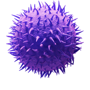 CAR T Cell