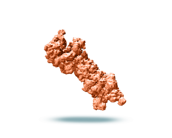 Proteasome