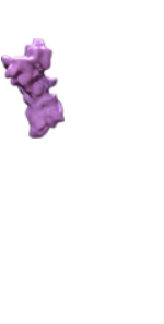 PRMT5
