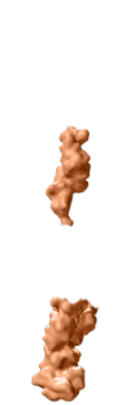B-lymphocyte Antigen CD19