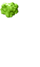 MCL-1, myeloid leukemia cell differentiation protein