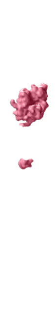 prostate-specific membrane antigen (PSMA)