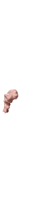 programmed cell death protein 1 (PD-1)