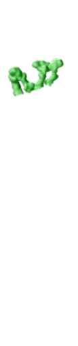 B-lymphocyte Antigen CD20