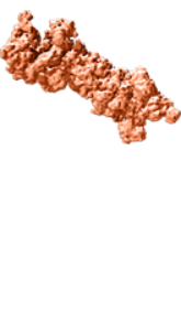 Proteasome
