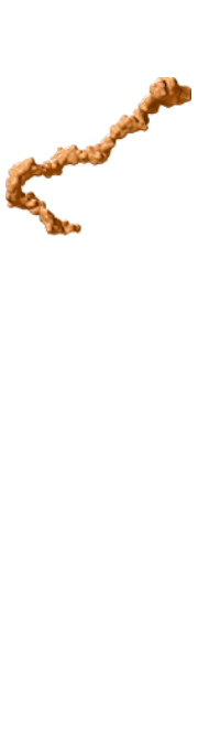 Delta-like 3 (DLL3)