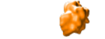 KRAS mutation G12C